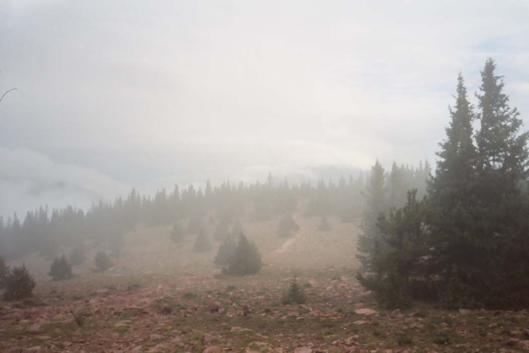 5007_4
