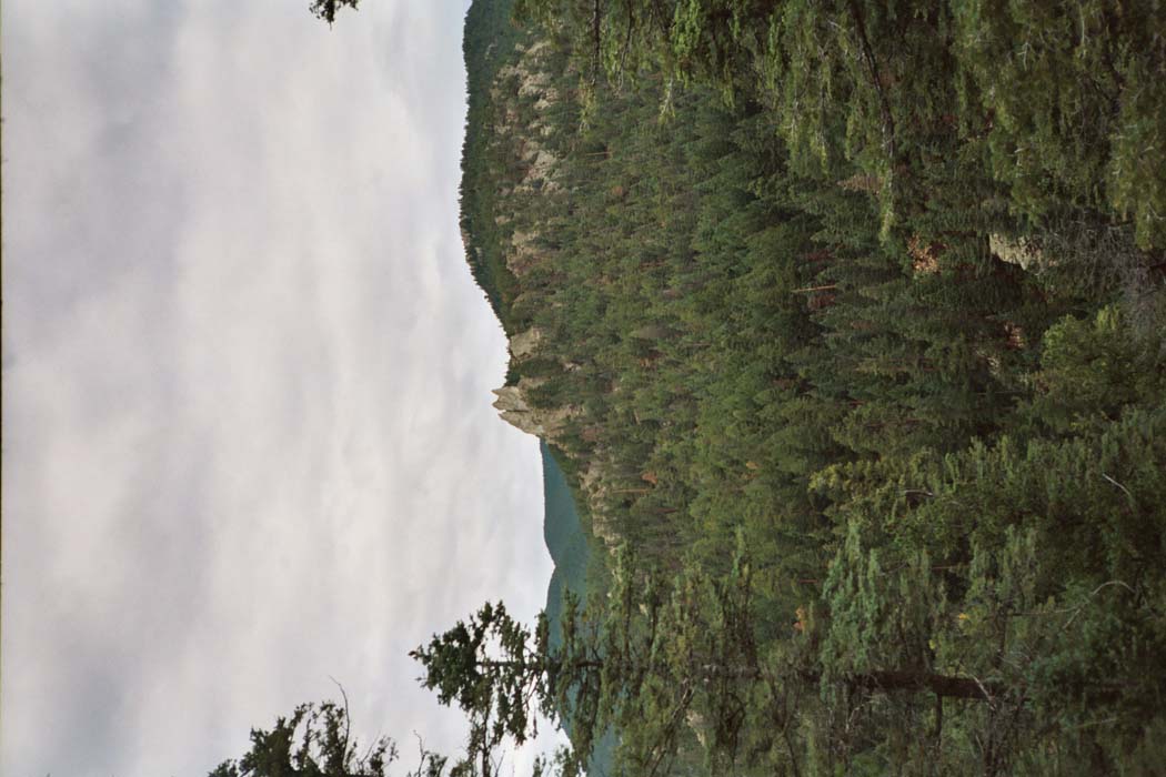 8027_23A